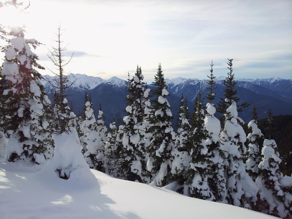 Winter view at Hurricane Ridge in the Olympic National Park