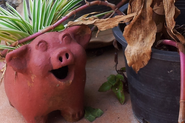 a pig-shaped planter pot