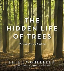 Hidden Life of Trees book cover